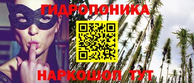 дживик Дубна